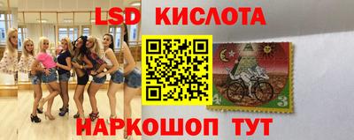 шишки Бузулук