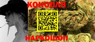 шишки Бузулук