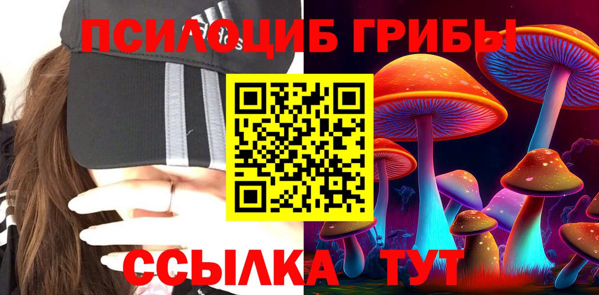 Галлюциногенные грибы Psilocybine cubensis  Вход с VPN  Сертолово 